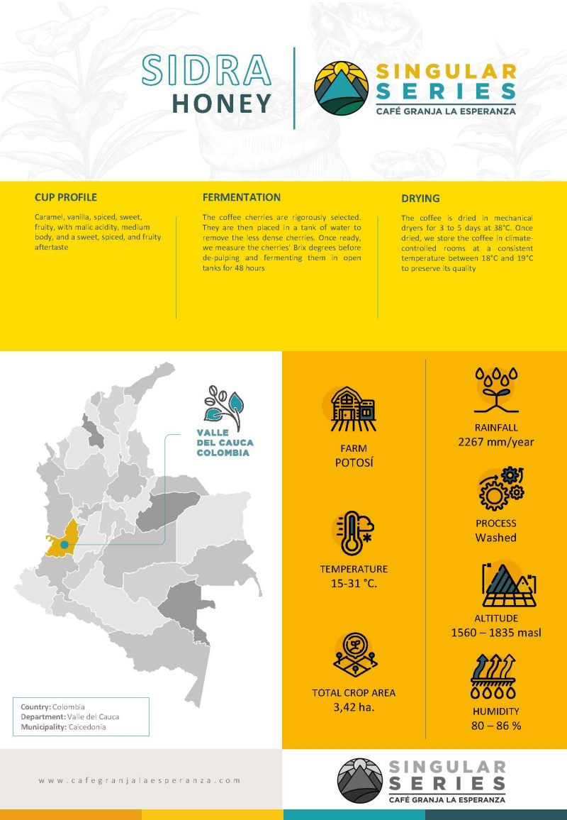 Infographic highlighting Sidra Honey coffee from Café Granja La Esperanza’s Singular Series. Details include its caramel, vanilla, and fruity cup profile, honey process fermentation, drying methods, and farm data from Valle del Cauca, Colombia.